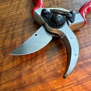 Die Spitze der Felco F-2 in Nahaufnahme