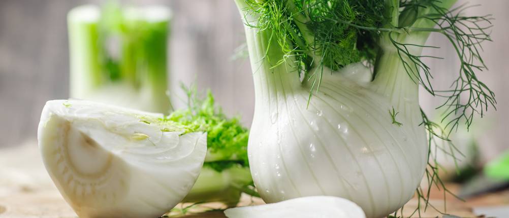 Fenchel-Samen-Test