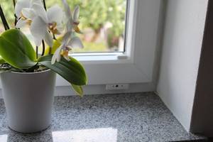 fenstersicherung-schmal