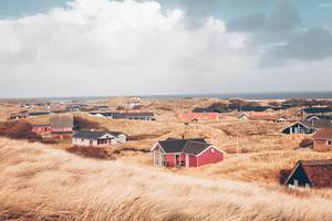 Ferienhaus Dänemark getestet: Viele typisch dänische Ferienhäuser in der Düne.