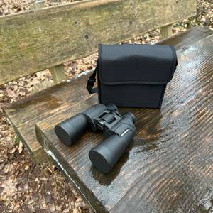 Das Olympus 10x50 S Fernglas mit seiner Tragetasche auf einer nassen Holzbank im Wald. Das Fernglas liegt griffbereit daneben.