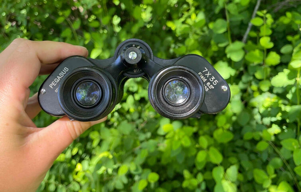 Ein Fernglas wird vor einen grünen Busch gehalten.