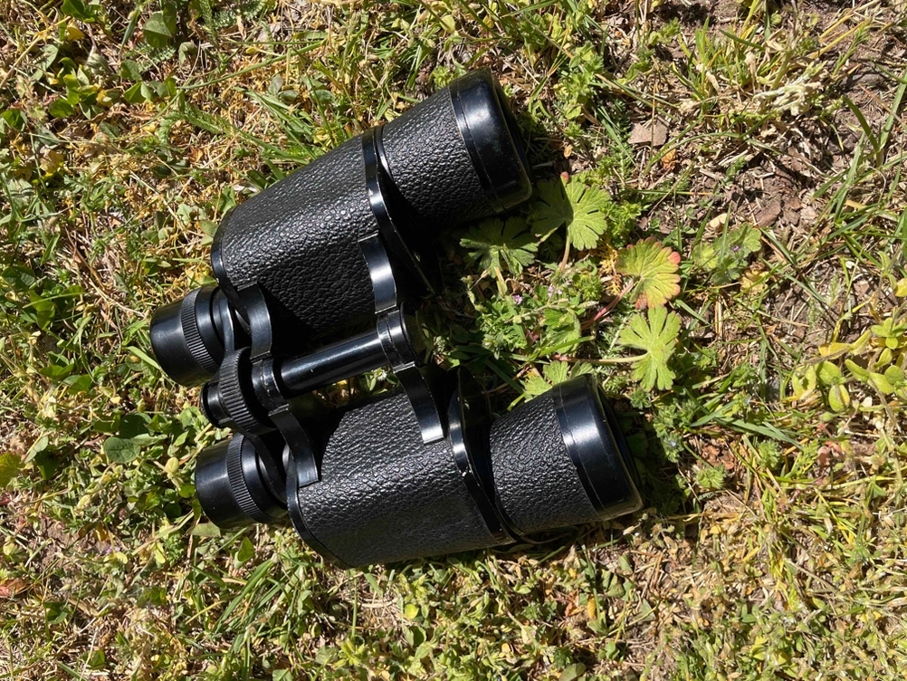 Fernglas liegt auf Rasenboden.