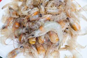 chitosan aus chitin der krebspanzer