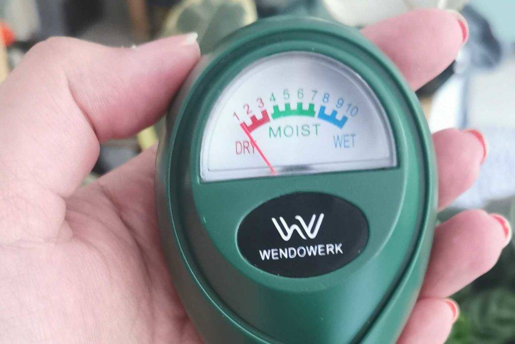 feuchtigkeitsmesser-pflanzen-wendowerk-feuchtigkeitsmesser-anwendung
