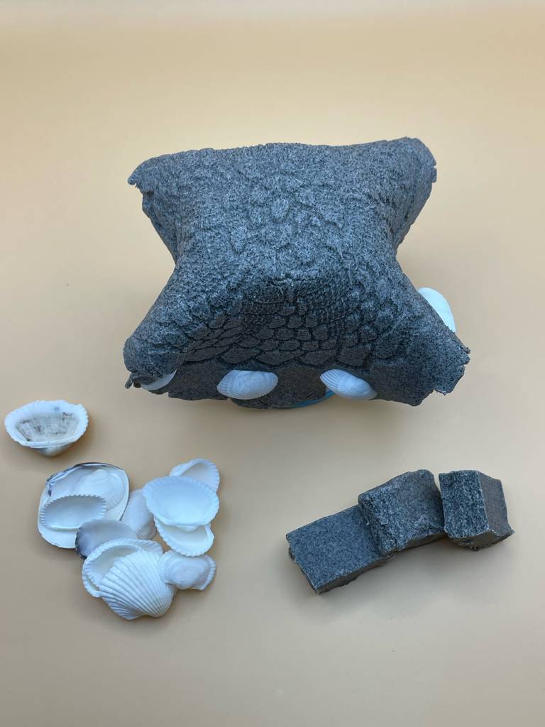 Fimo-Knete getestet: Ein paar Stücke liegen neben Muscheln und einem Model.
