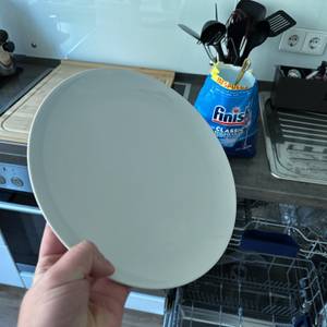 Ein gesäuberter Teller ist vor einer Küchenzeile zu sehen.