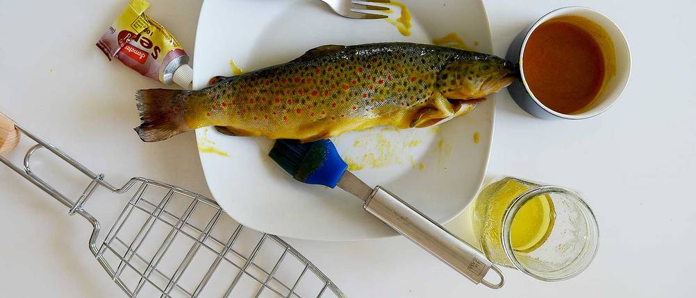 fisch-marinieren-honig-senf
