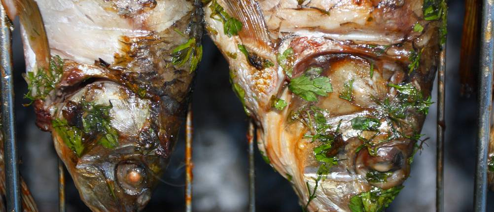 fischbraeter-test