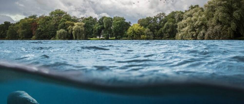 Fischfinder-Test: Landschaft und ein Fisch im Wasser.