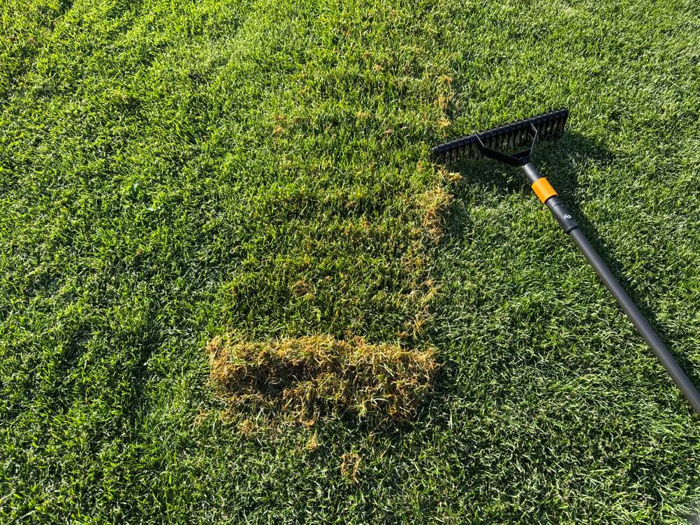 Ein Grashaufen liegt neben dem Fiskars-Rasenlüfter.