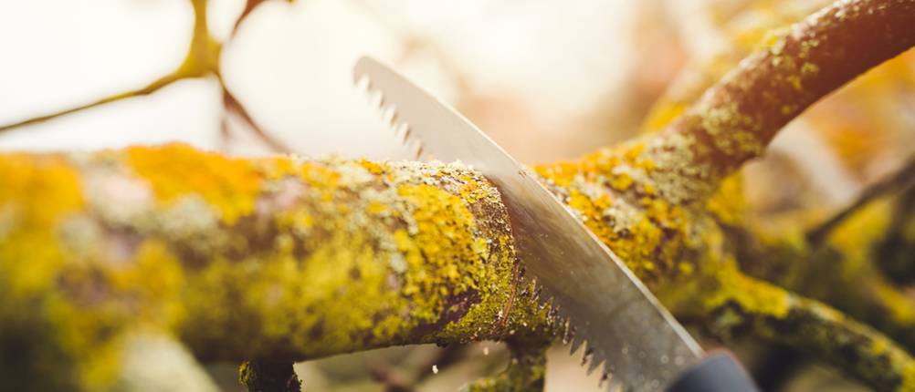 fiskars-säge-test