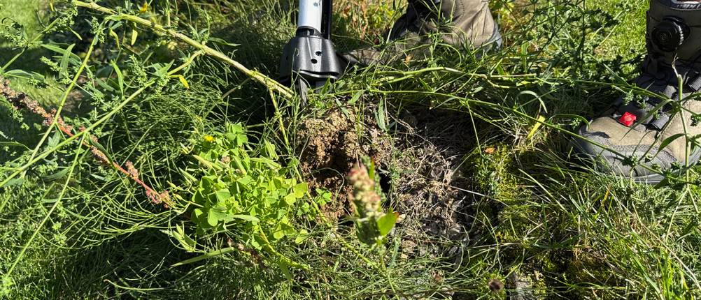 Mit dem Fiskars-SmartFit-Teleskop-Unkrautstecher wird ein Unkraut ausgestochen.