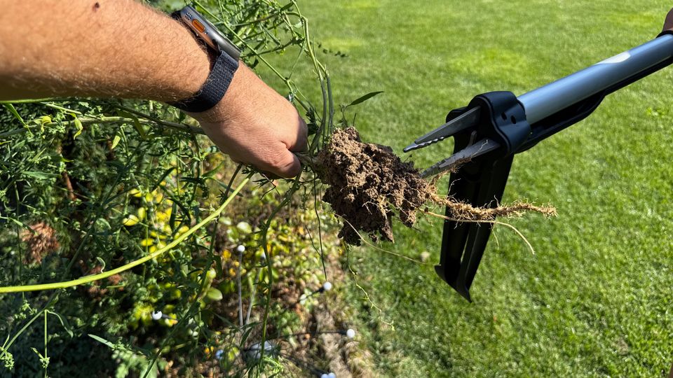 Eine Hand zieht ein Unkraut von der Spitze des Fiskars-SmartFit-Teleskop-Unkrautstecher