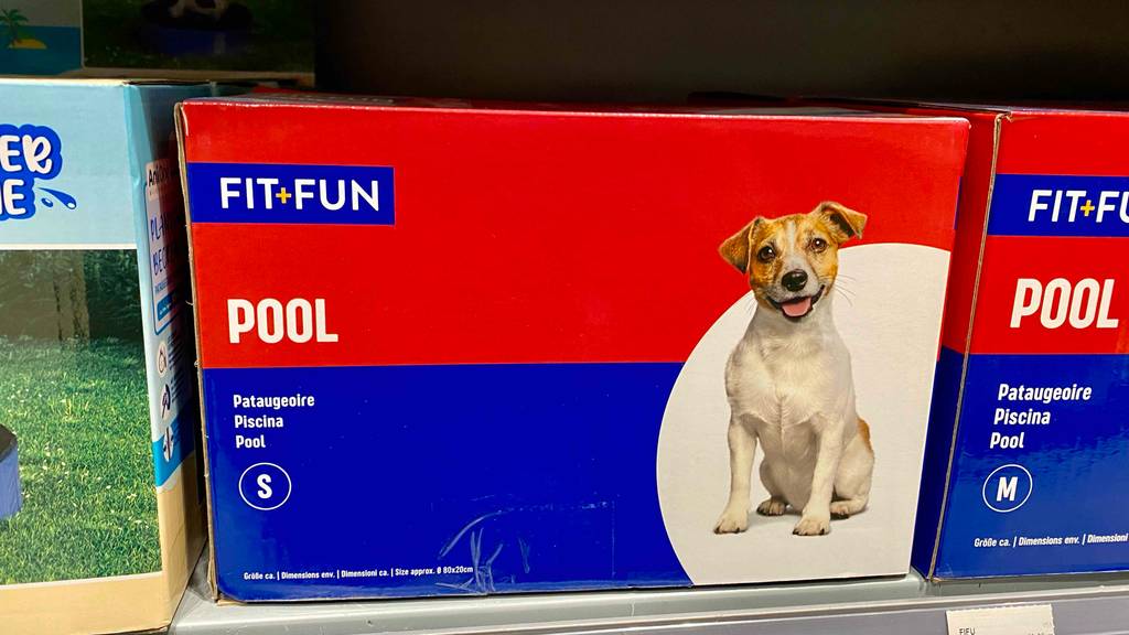 Eine Verpackung mit einem Fit-Fun Hundepool im Test der Größe S steht auf einem Verkaufsregal neben anderen Größen.