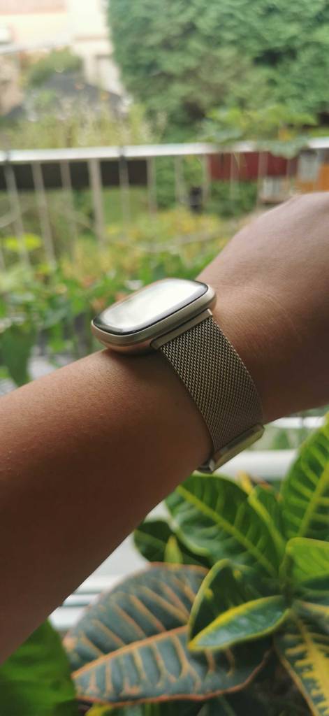 Fitbit getestet: Eine Uhr von der Seite an einem Handgelenk vor Pflanzen.