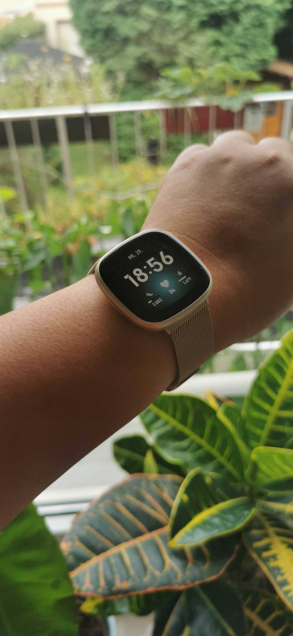 Ein Arm mit einer angeschaltene Fitbit im Test befindet sich vor einem Fenster.