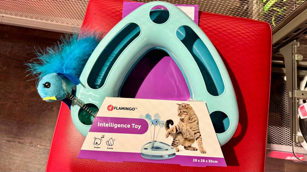 Auf dem Kartonblister eines getesteten Intelligenzspielzeug für die Katze steht die Größe und Funktionen.