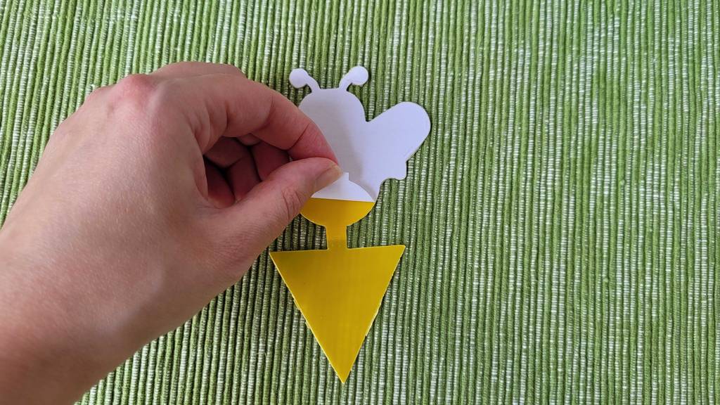 fliegenfalle