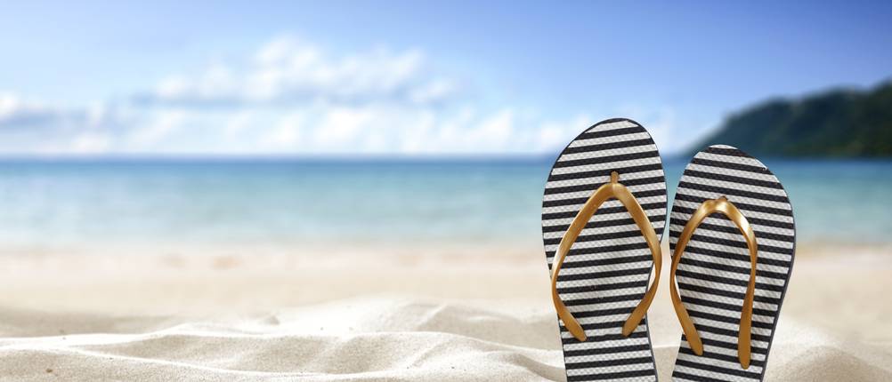 flip-flop-test