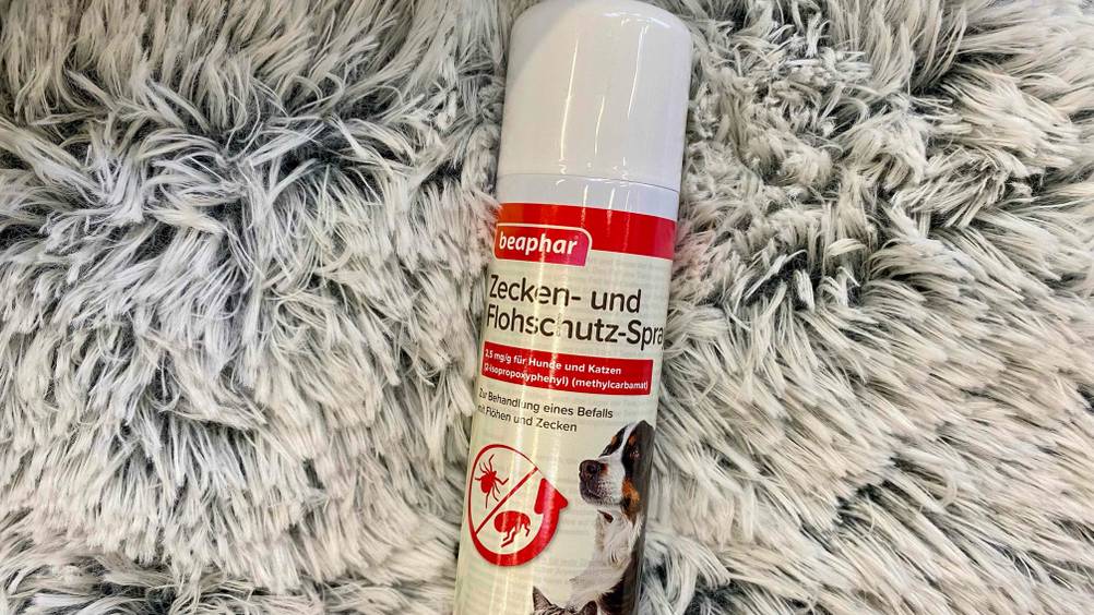 Nahaufnahme des Labels auf einer Dose des getesteten Flohsprays mit Logo und Artikelbezeichnung.