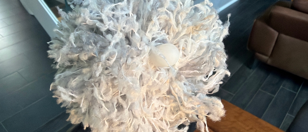 Die Spitze vom Fogray-Staubwedel.