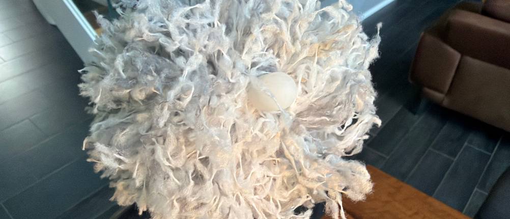 Die Spitze vom Fogray-Staubwedel.