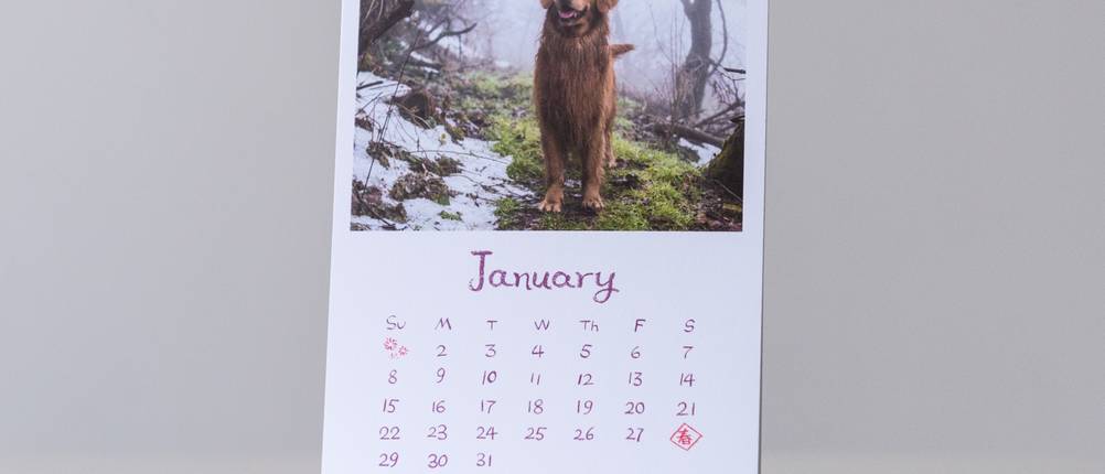 fotokalender-test