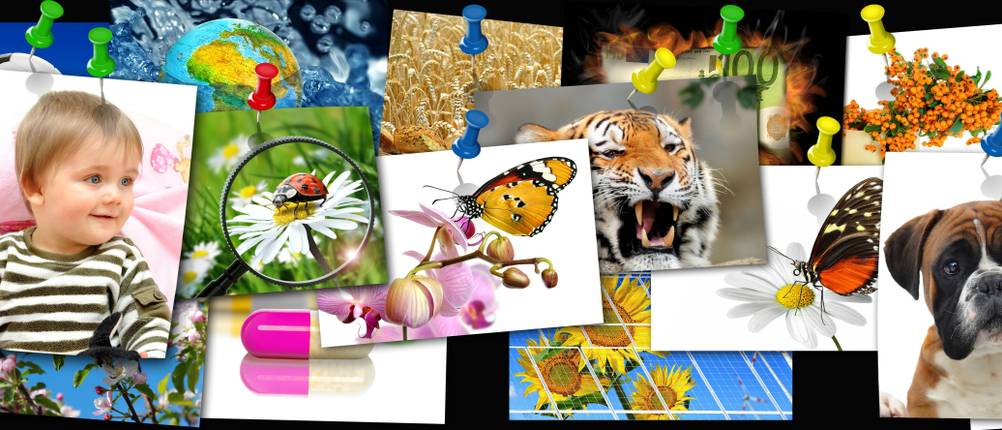 fotopapier-besonders-farbenpraechtige-bilder