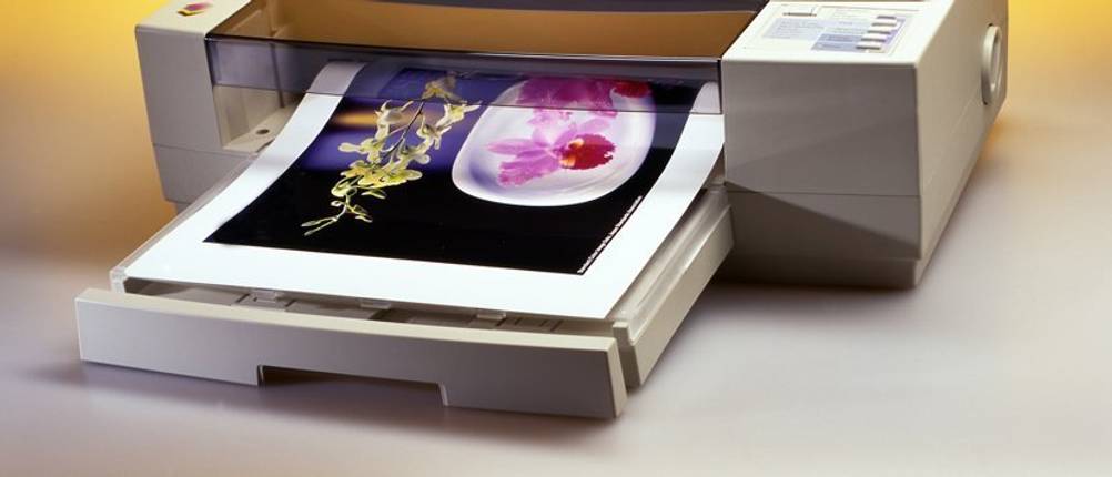 Fotopapier-A3-Test: Im Fach eines Druckers liegt ein Farbfoto mit Blumenaufdruck.