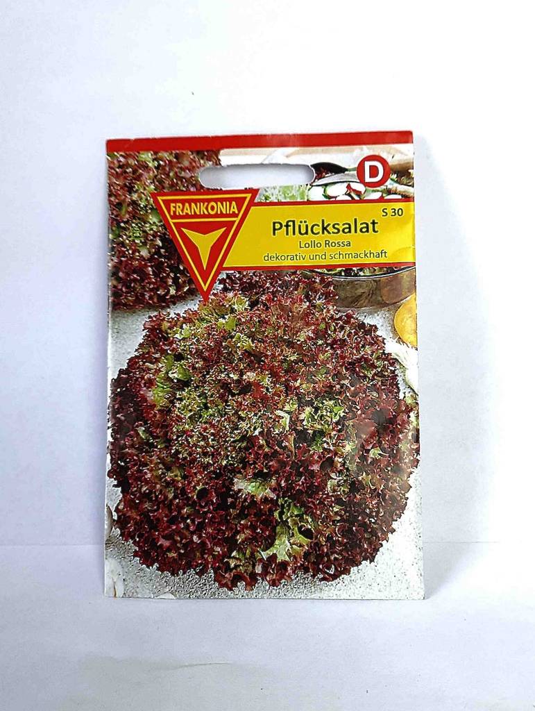 Gemüsesamen-Test: Eine Tüte mit Pflücksalat-Samen liegt auf einer weißen Oberfläche.