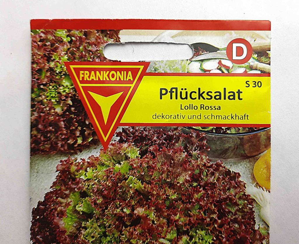 Detailansicht einer Tüte mit Pflücksalat-Samen, die mehrere Gemüsesamen im Test enthält.