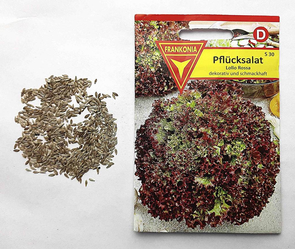 Getestete Gemüsesamen liegen neben einer Tüte mit Pflücksalatsamen.