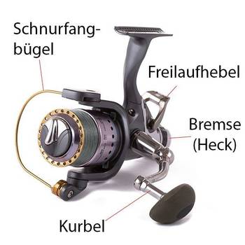 Freilaufrollen Test & Vergleich  Top 17 im Juni 2026