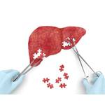 Fressbremsen für Pferde eigenen sich nach einer OP, wenn der Kreislauf der Tiere noch schwach ist.