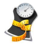 Fressbremsen verhindern Übergewicht bei Pferden