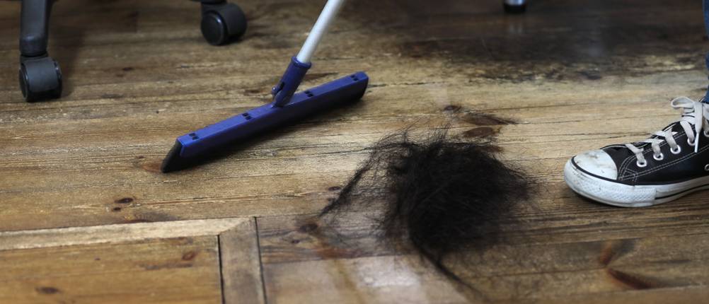 friseurbesen-haare