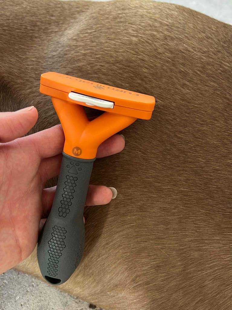 Furminator wird am Hund angewendet.