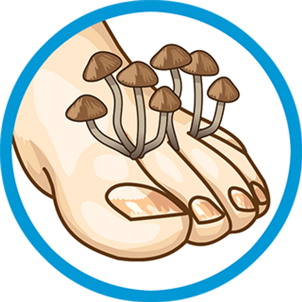 pilz füße