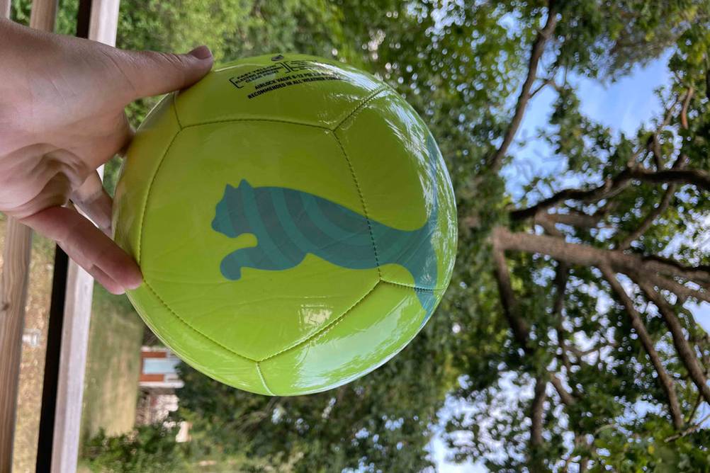 fussball-puma-icon-ball