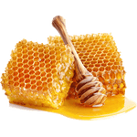 Honig Bienenwachs