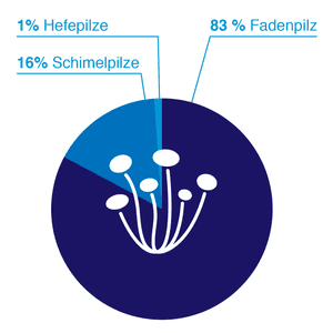 pilzarten fußpilz