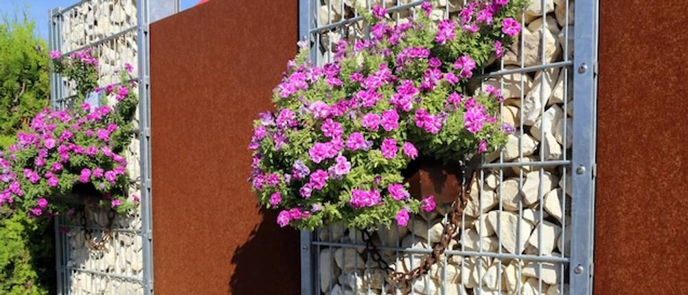 Gabionen-Test: Mit hängenden Blumen bepflanzte Gabionen zwischen Zaunelementen.