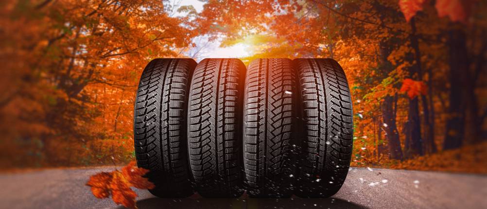Ganzjahresreifen 195/55 R15 Test