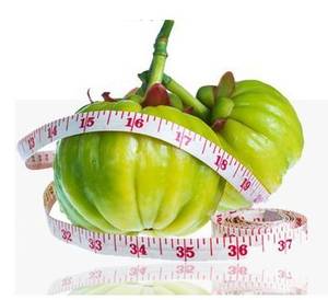 garcinia-cambogia-amazonbildausschnitt