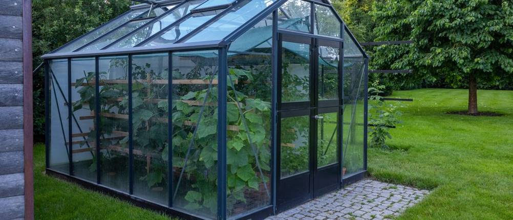Gardebruk-Gewächshaus im Test. Ein Gewächshaus mit grauem Rahmen und Pflanzen steht in einem Garten.