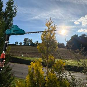 Mit der Gardena 430933 wird die Spitze einer Hecke geschnitten.