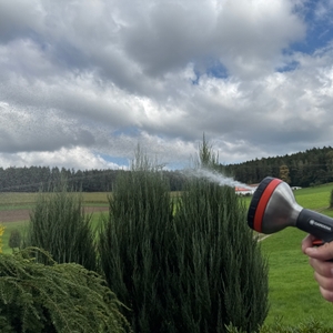 Ein flacher Strahl kommt aus der Gardena-Premium-Multibrause (18317-20)