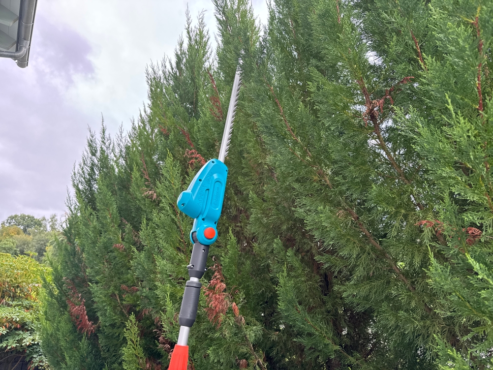 Hohe Hecken werden mit der Gardena THS 42/18V geschnitten
