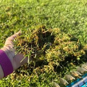 Gras liegt in einer Hand.